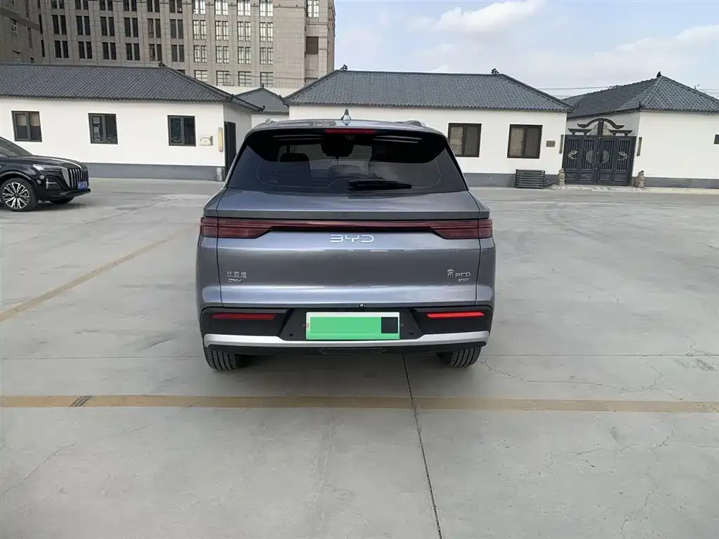 BYD Pro New Energy 2025 из CN, фото 10