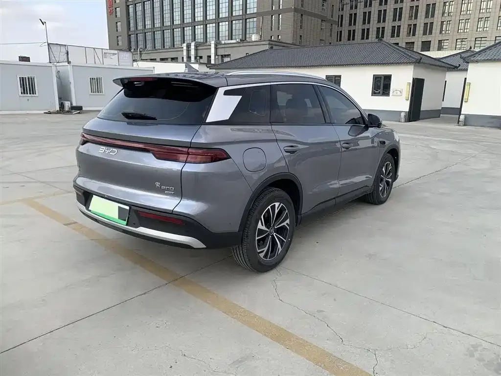 BYD Pro New Energy 2025 из CN, фото 4
