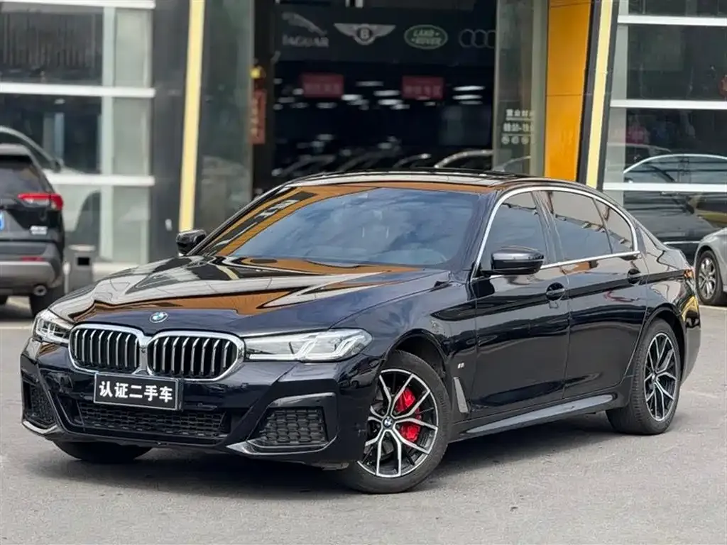 BMW 5 Series 2021 из CN, фото 1