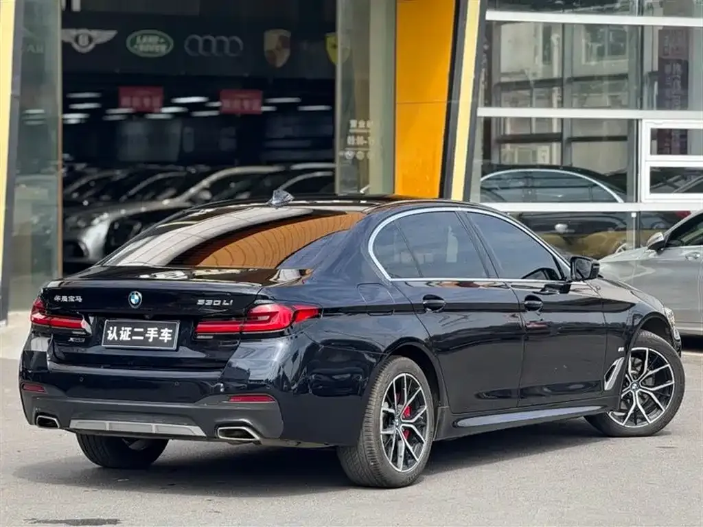 BMW 5 Series 2021 из CN, фото 6
