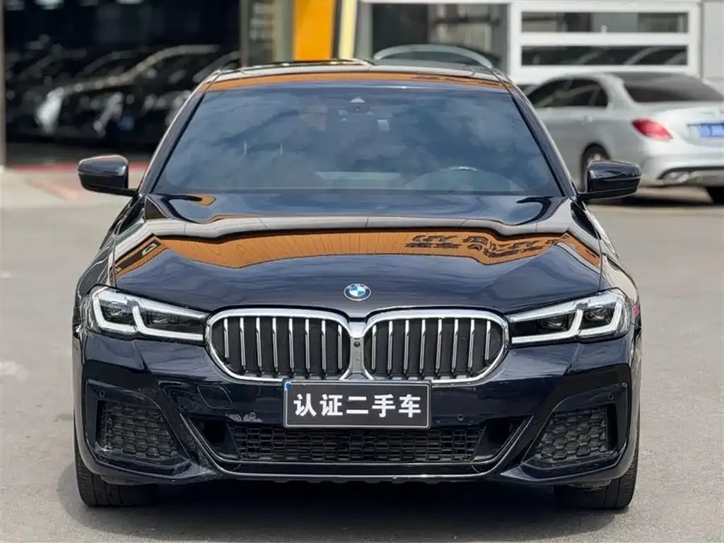 BMW 5 Series 2021 из CN, фото 2