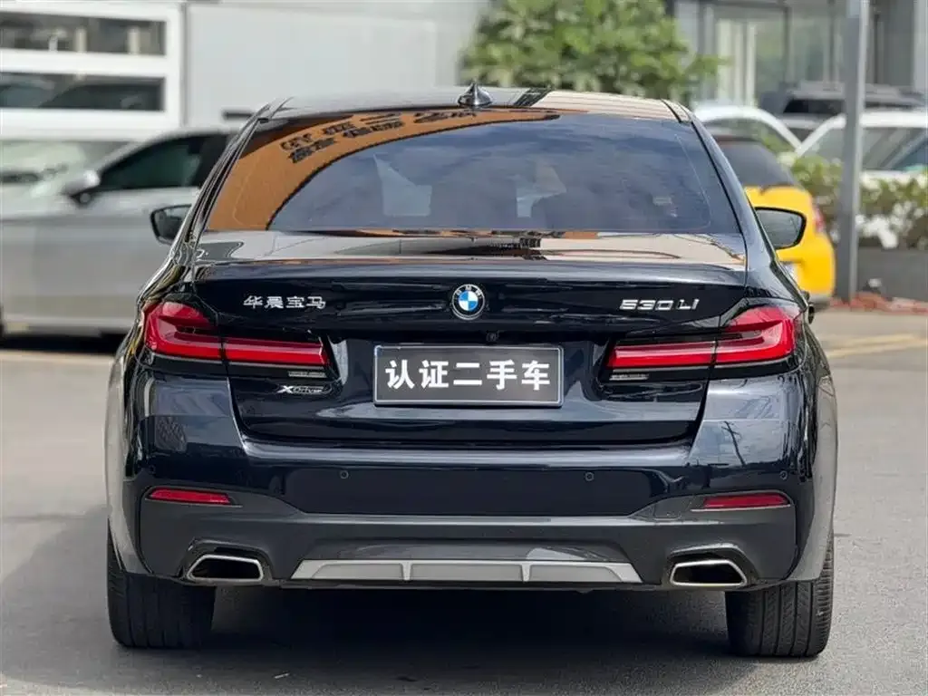 BMW 5 Series 2021 из CN, фото 7
