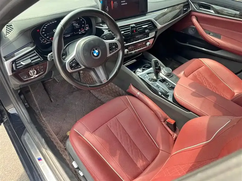 BMW 5 Series 2021 из CN, фото 8
