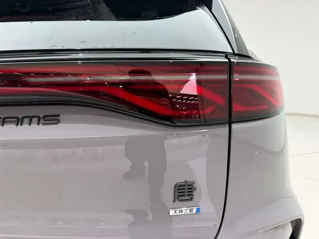 BYD Tang New Energy 2025 из CN, фото 4