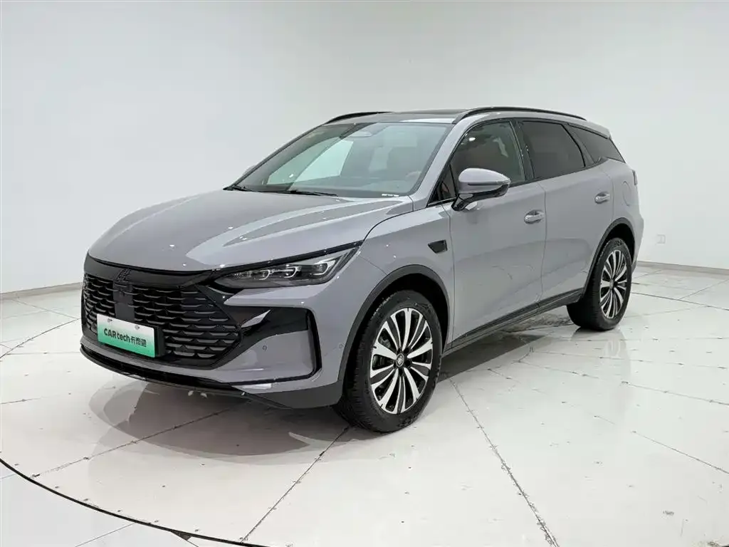 BYD Tang New Energy 2025 из CN, фото 6