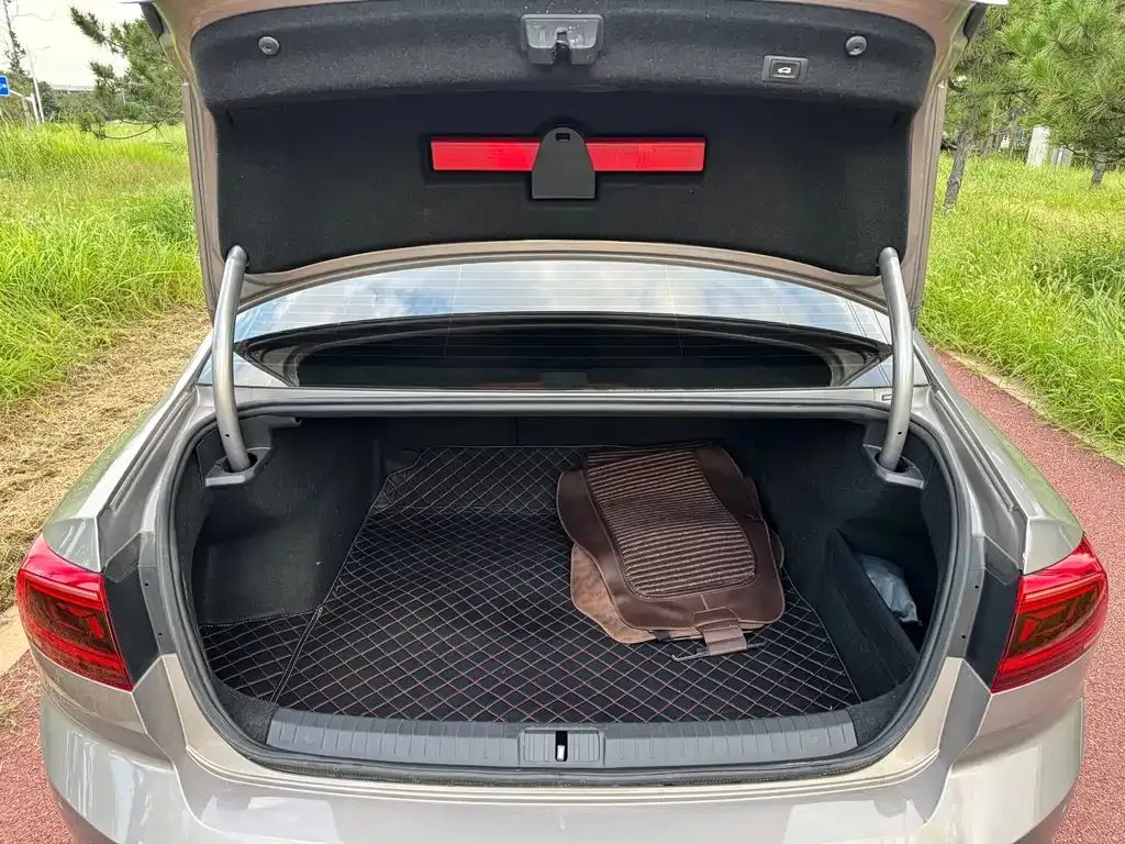 Volkswagen Magotan 2021 из CN, фото 4