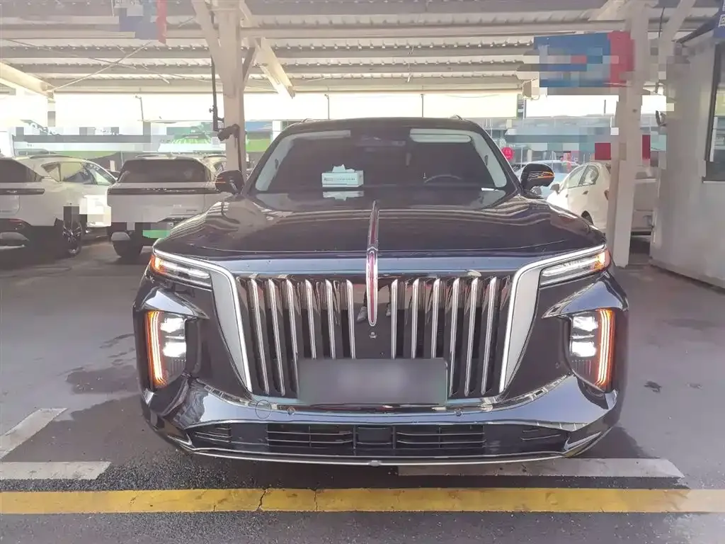 Hongqi E-HS9 2022 из CN, фото 9