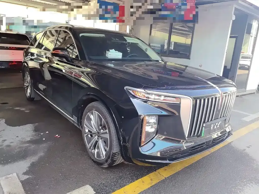 Hongqi E-HS9 2022 из CN, фото 8