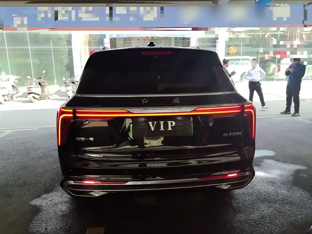 Hongqi E-HS9 2022 из CN, фото 2