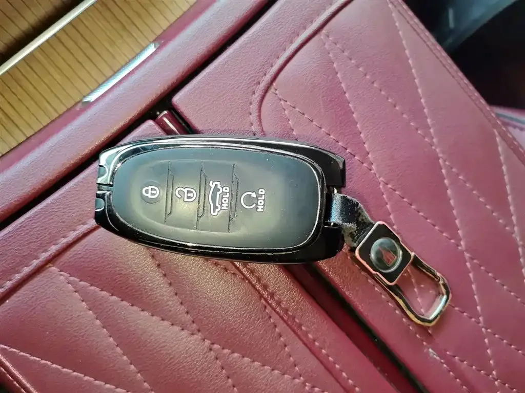 Hongqi E-HS9 2022 из CN, фото 7