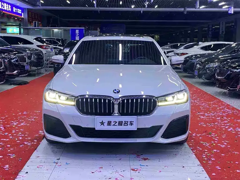 BMW 5 Series — фото 10
