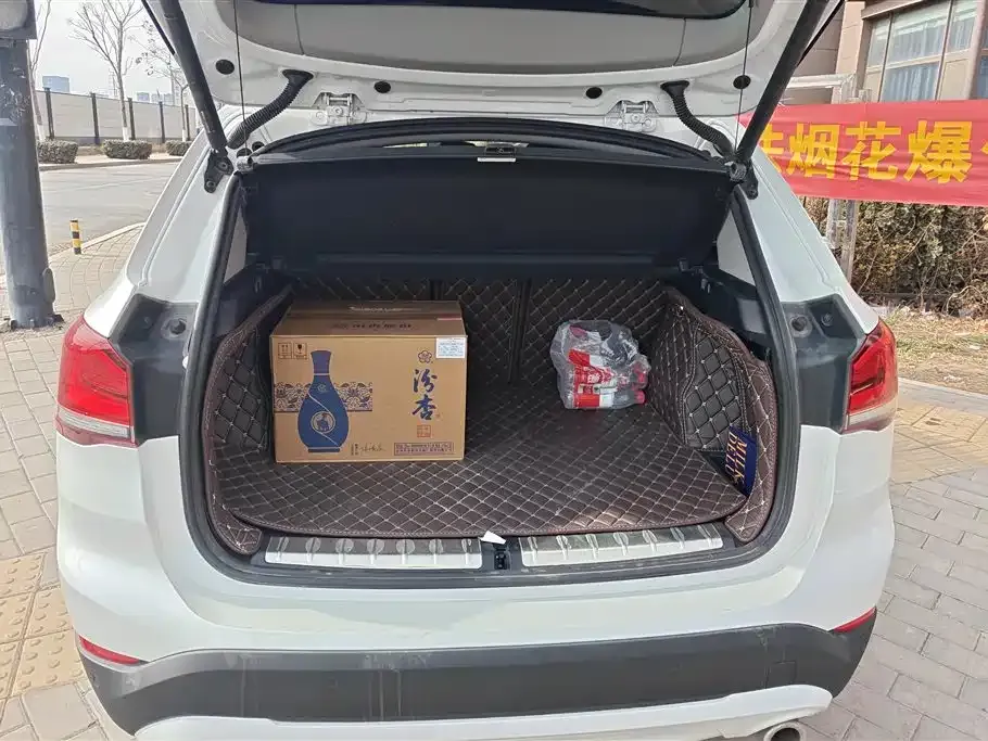 BMW X1 2021 из CN, фото 10