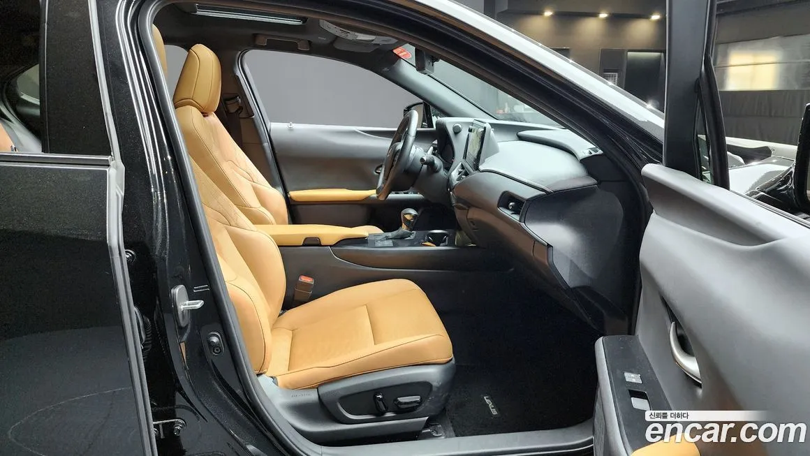 Lexus UX 2024 из KR, фото 4