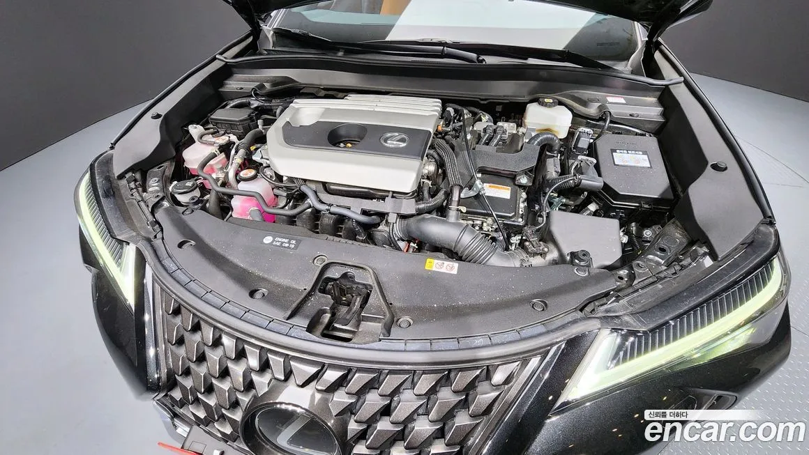 Lexus UX 2024 из KR, фото 10