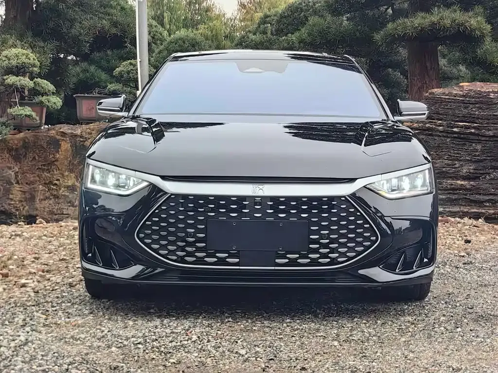 BYD Han — фото 4