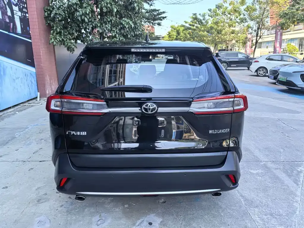 Toyota Wildlander 2022 из CN, фото 5