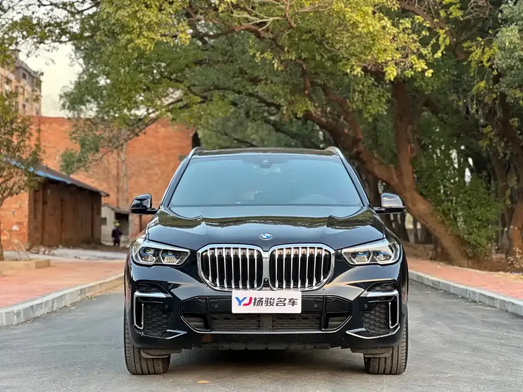 BMW X5 2022 из CN, фото 2
