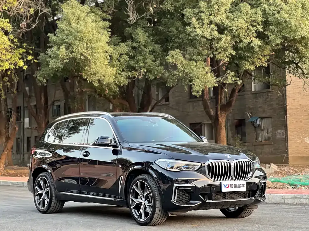 BMW X5 2022 из CN, фото 6
