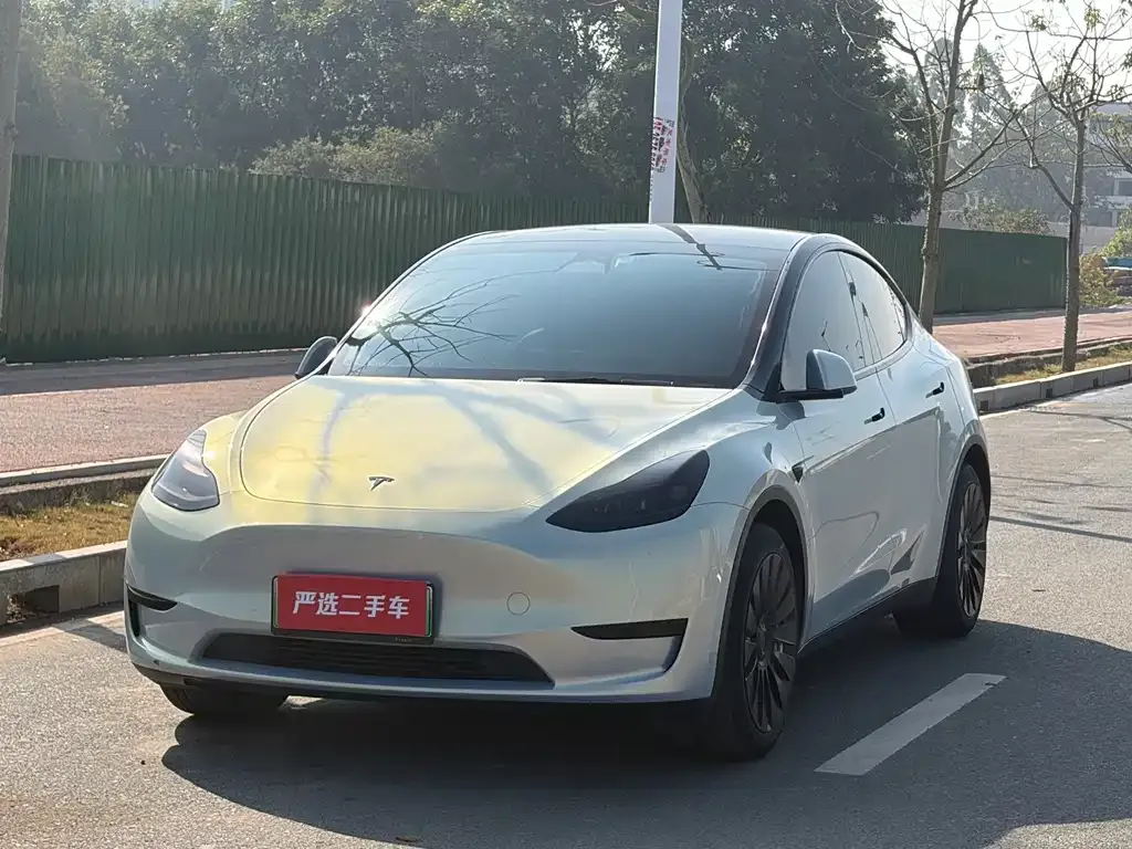 Tesla Model Y — фото 1