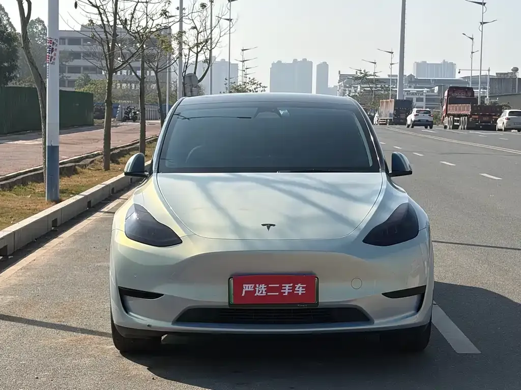 Tesla Model Y — фото 4