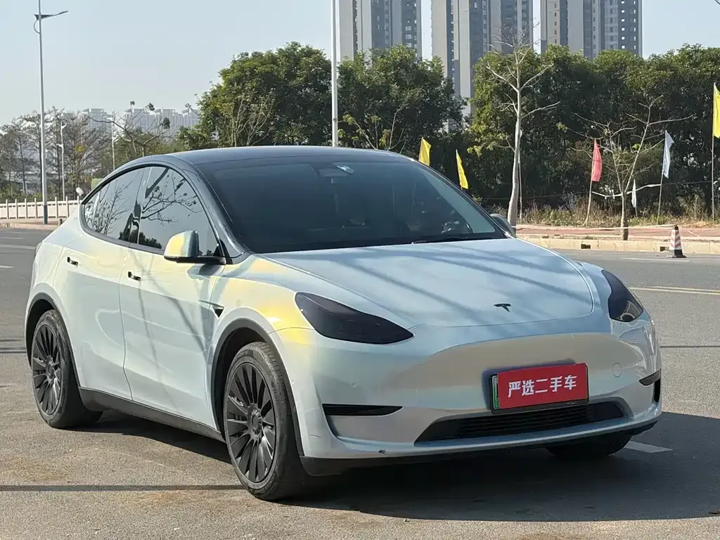 Tesla Model Y — фото 8