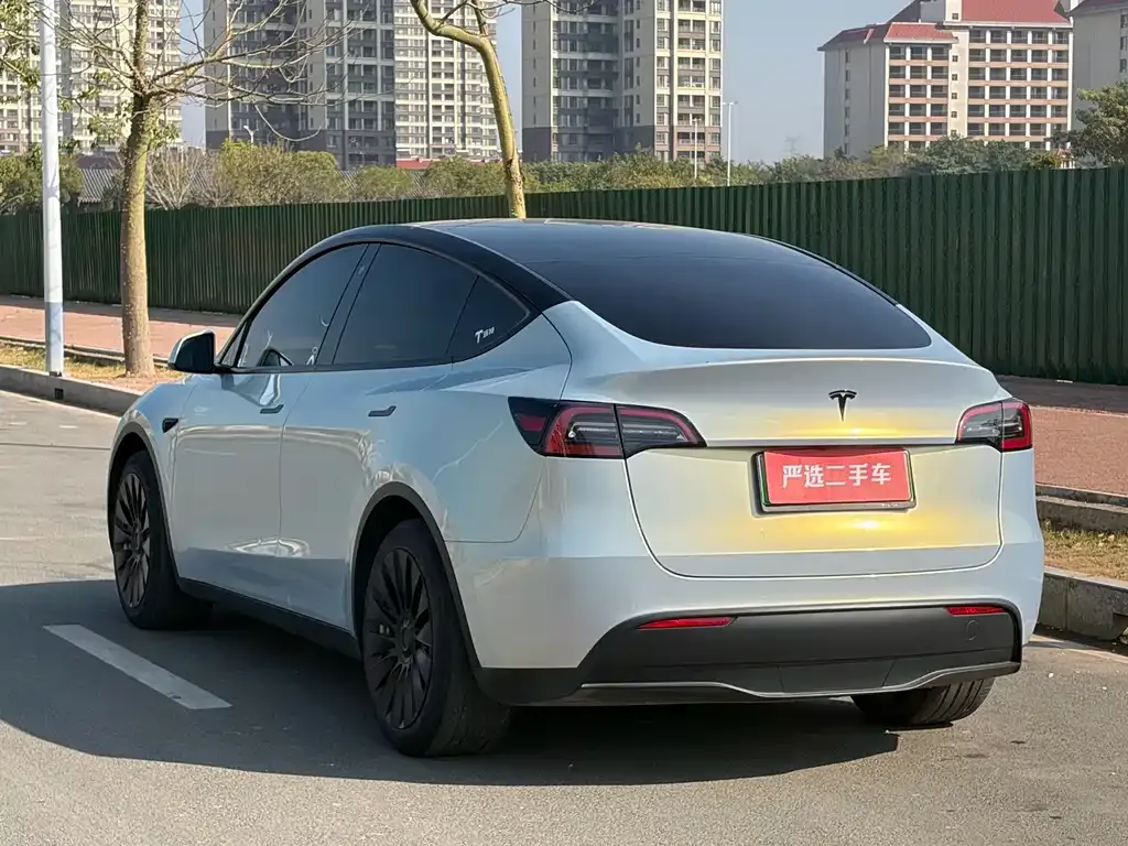 Tesla Model Y — фото 9