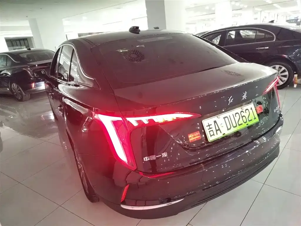 Hongqi E-QM5 — фото 10