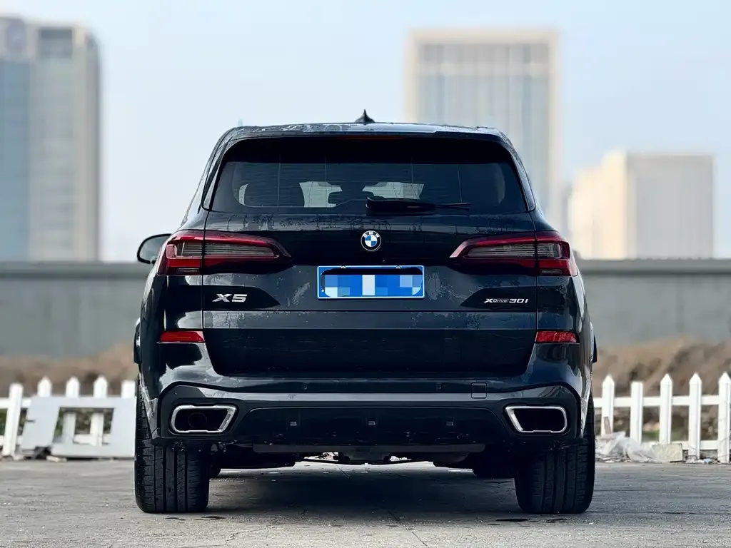 BMW X5 (Import) — фото 3