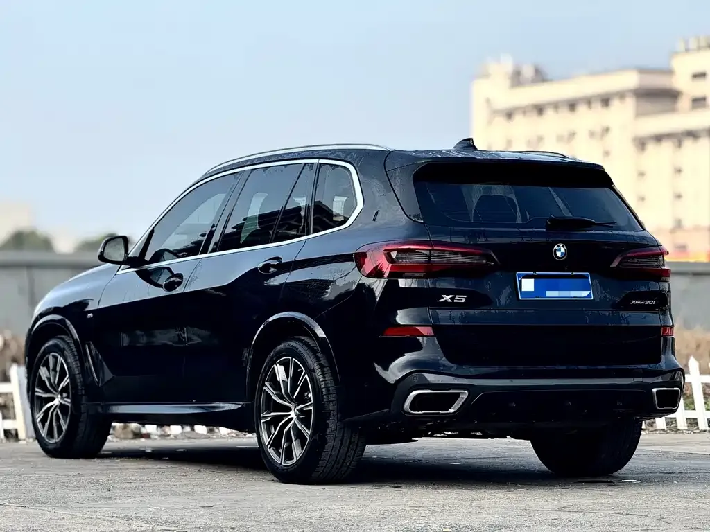 BMW X5 (Import) — фото 6