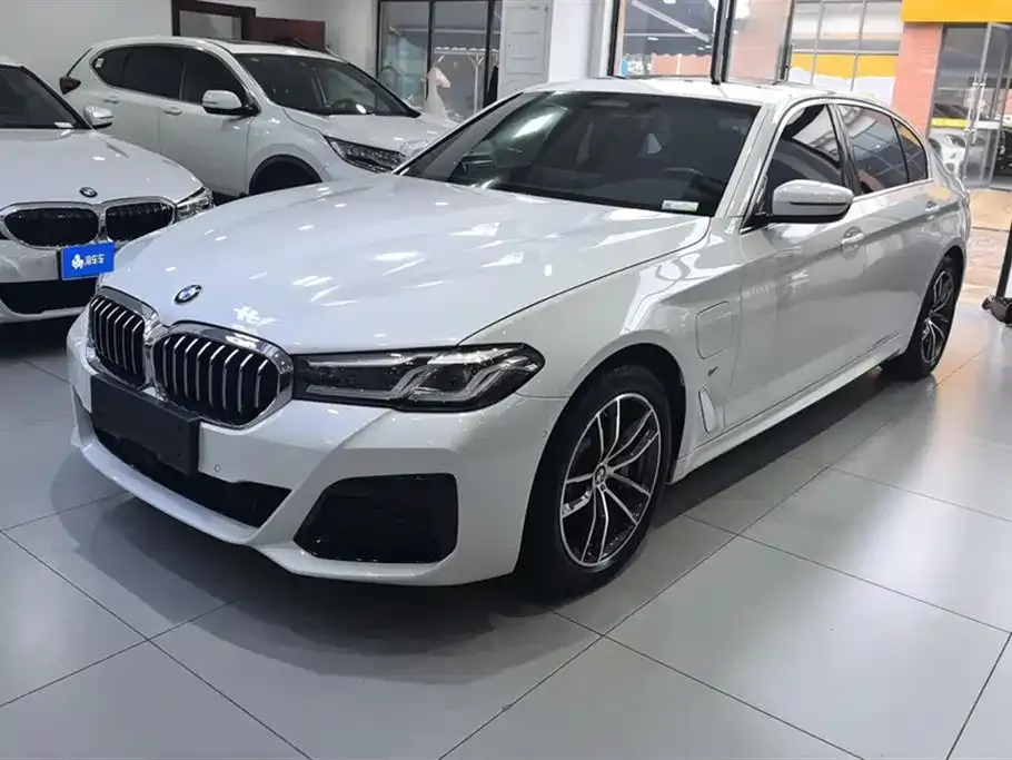 BMW 5 Series New Energy 2021 из CN, фото 1