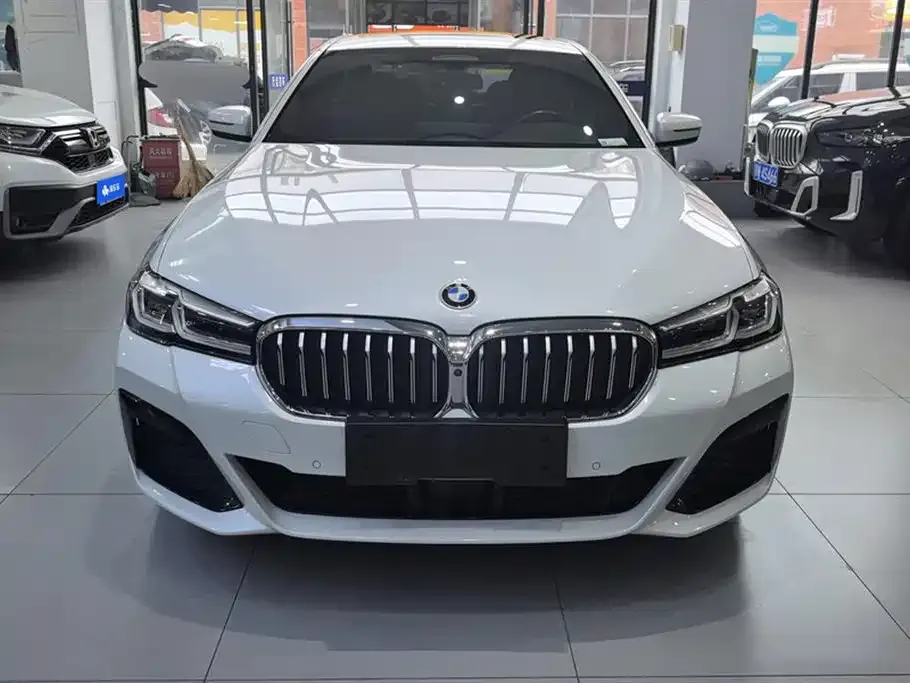 BMW 5 Series New Energy 2021 из CN, фото 8