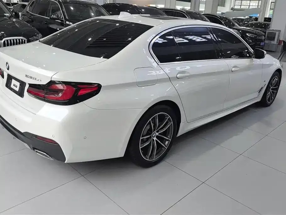BMW 5 Series New Energy 2021 из CN, фото 5