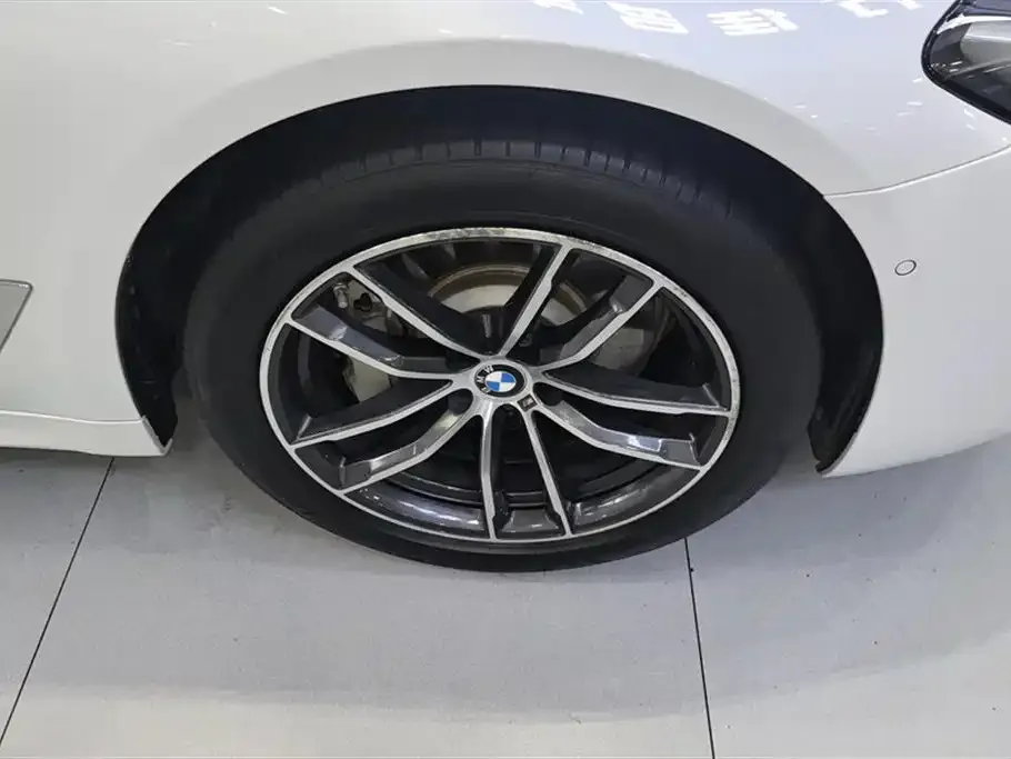 BMW 5 Series New Energy 2021 из CN, фото 3