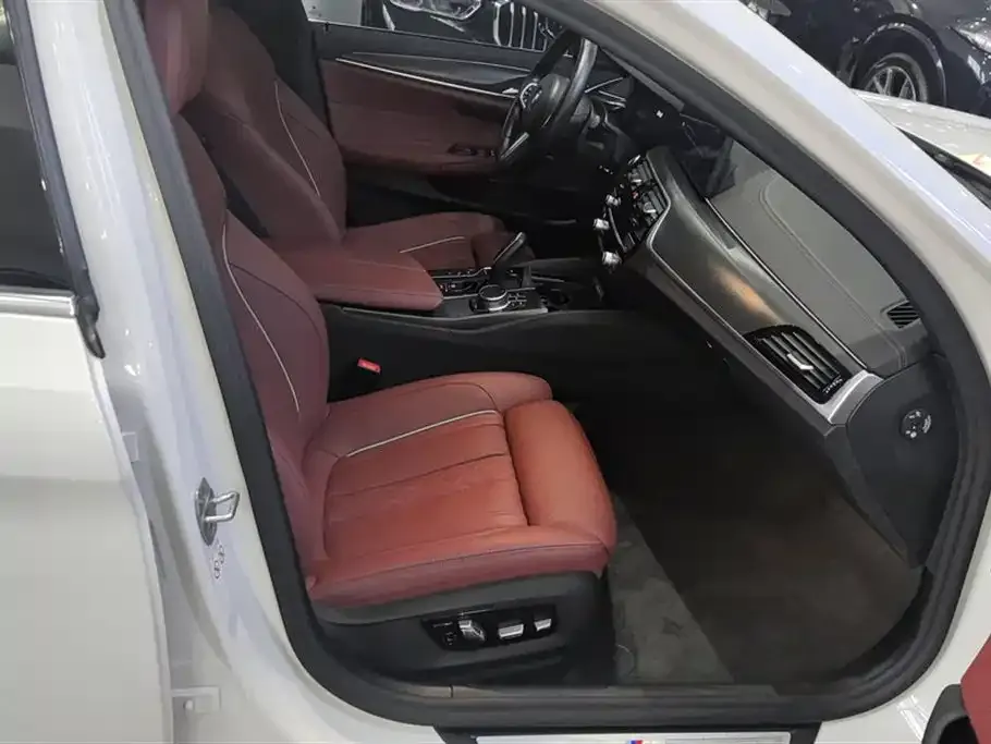 BMW 5 Series New Energy 2021 из CN, фото 4