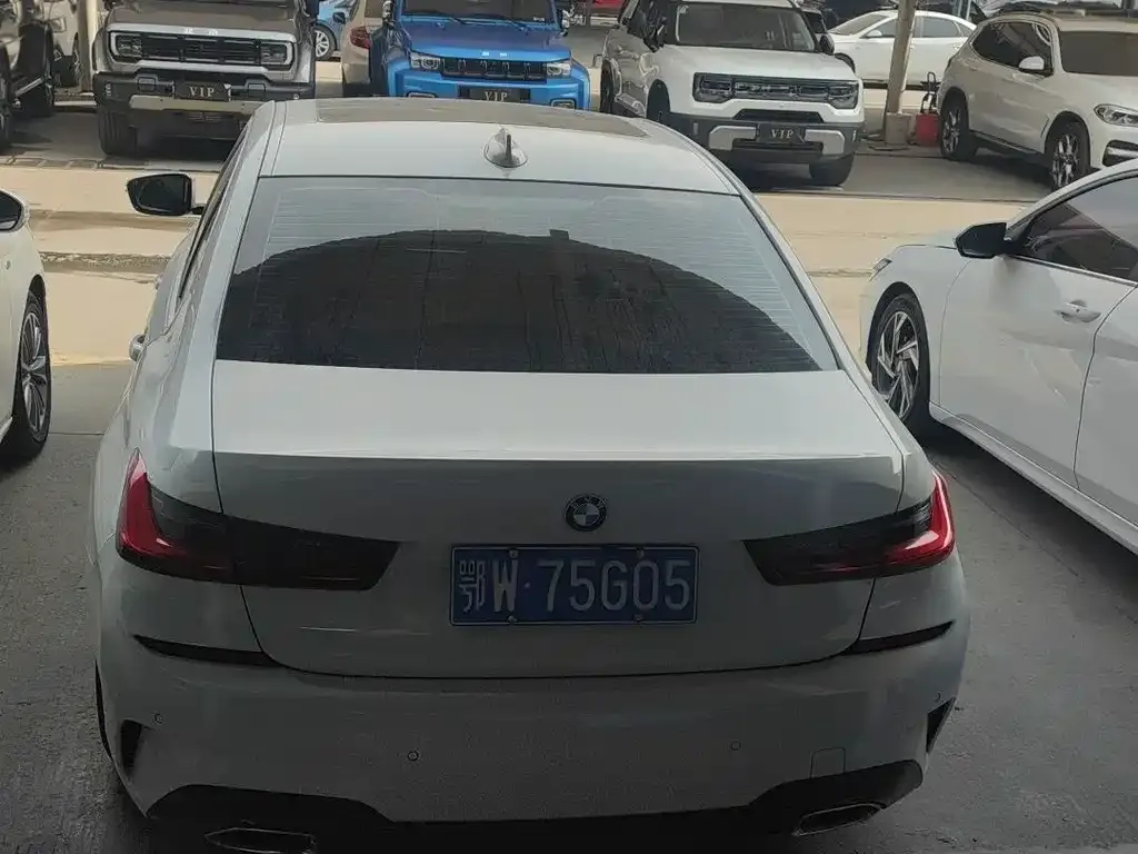 BMW 3 Series 2021 из CN, фото 6