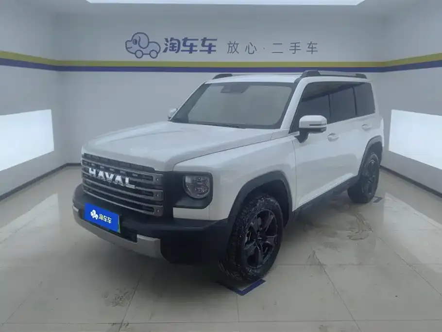 Haval Menglong New Energy 2024 из CN, фото 1