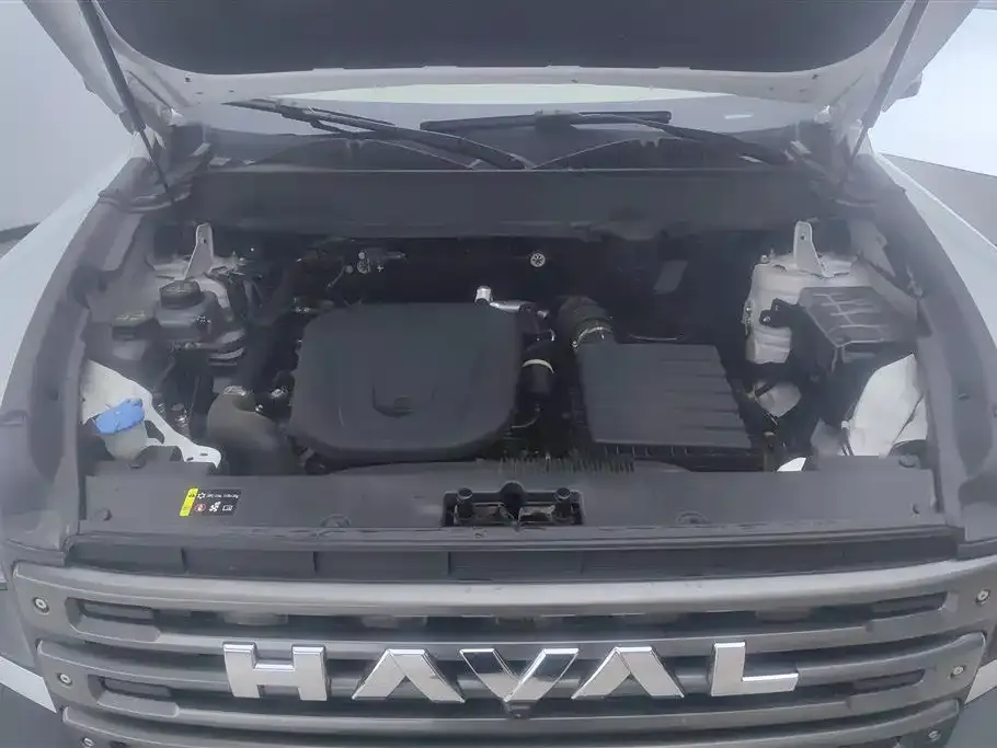 Haval Menglong New Energy 2024 из CN, фото 10