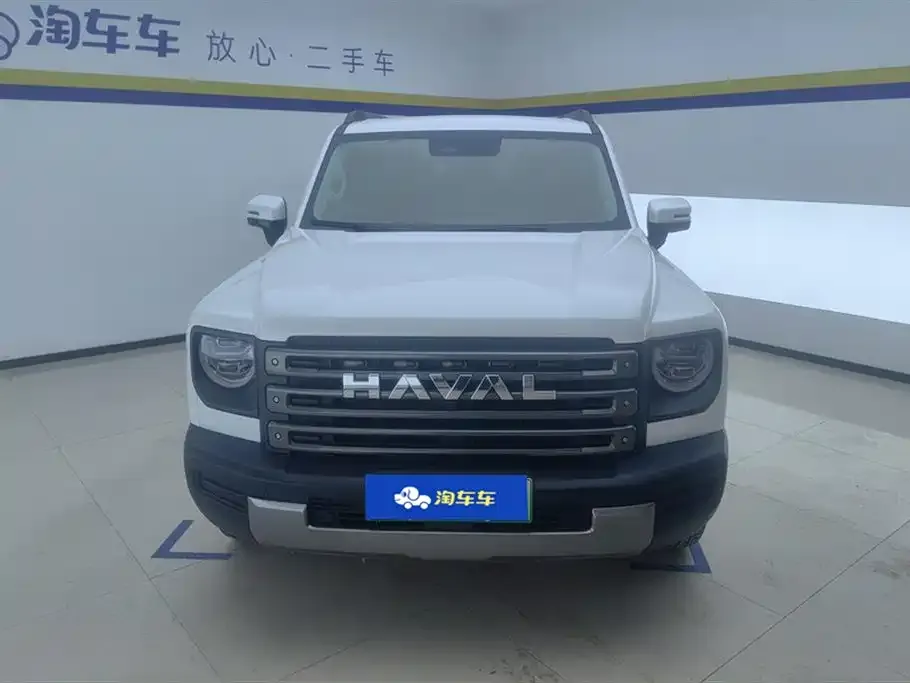 Haval Menglong New Energy 2024 из CN, фото 2