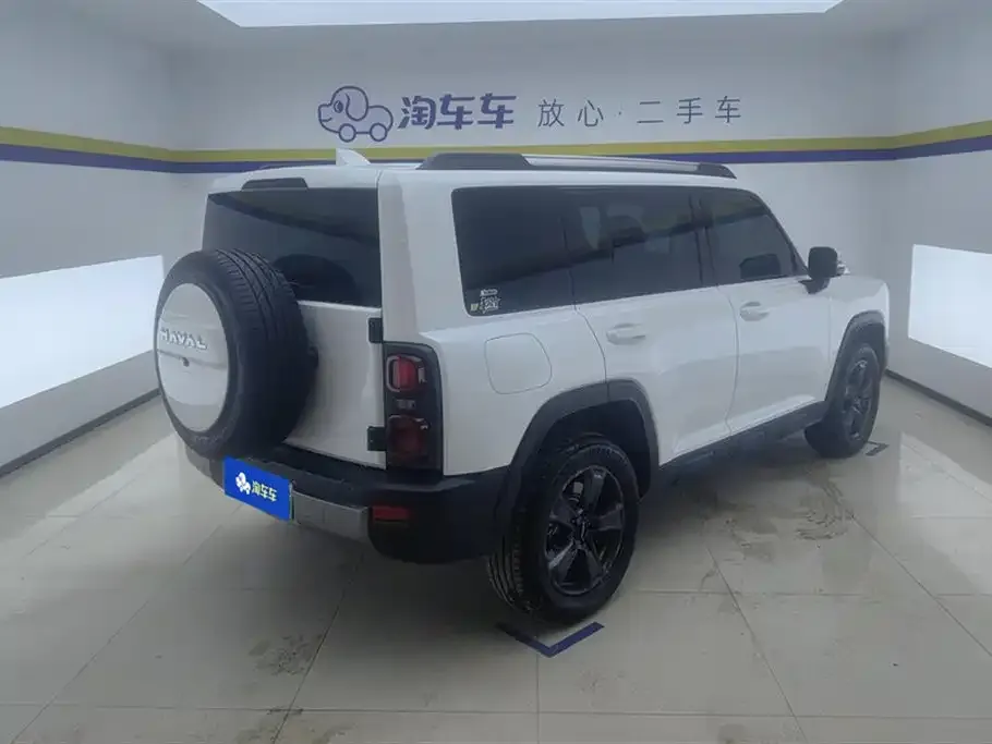 Haval Menglong New Energy 2024 из CN, фото 4