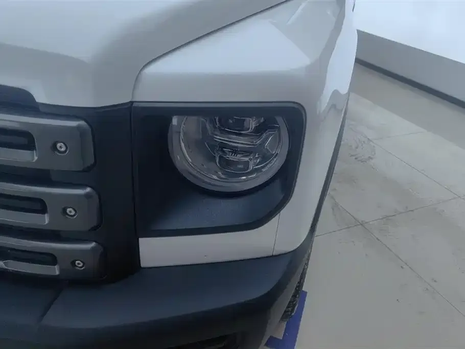 Haval Menglong New Energy 2024 из CN, фото 3