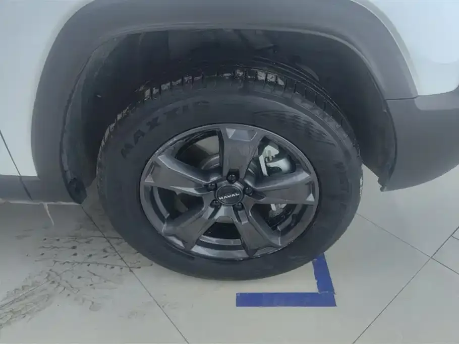 Haval Menglong New Energy 2024 из CN, фото 9