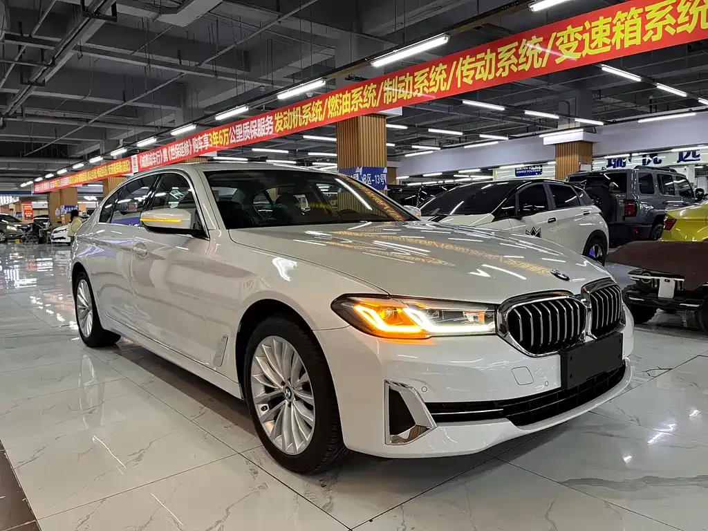 BMW 5 Series 2024 из CN, фото 9