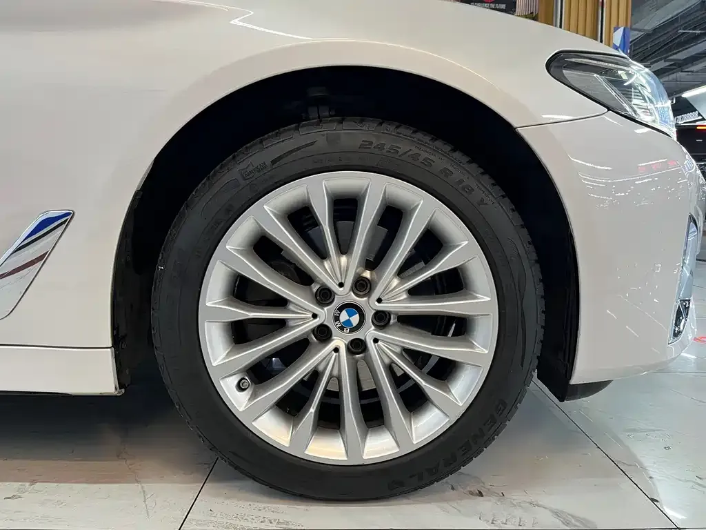 BMW 5 Series 2024 из CN, фото 2