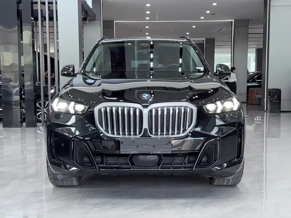 BMW X5 — фото 4