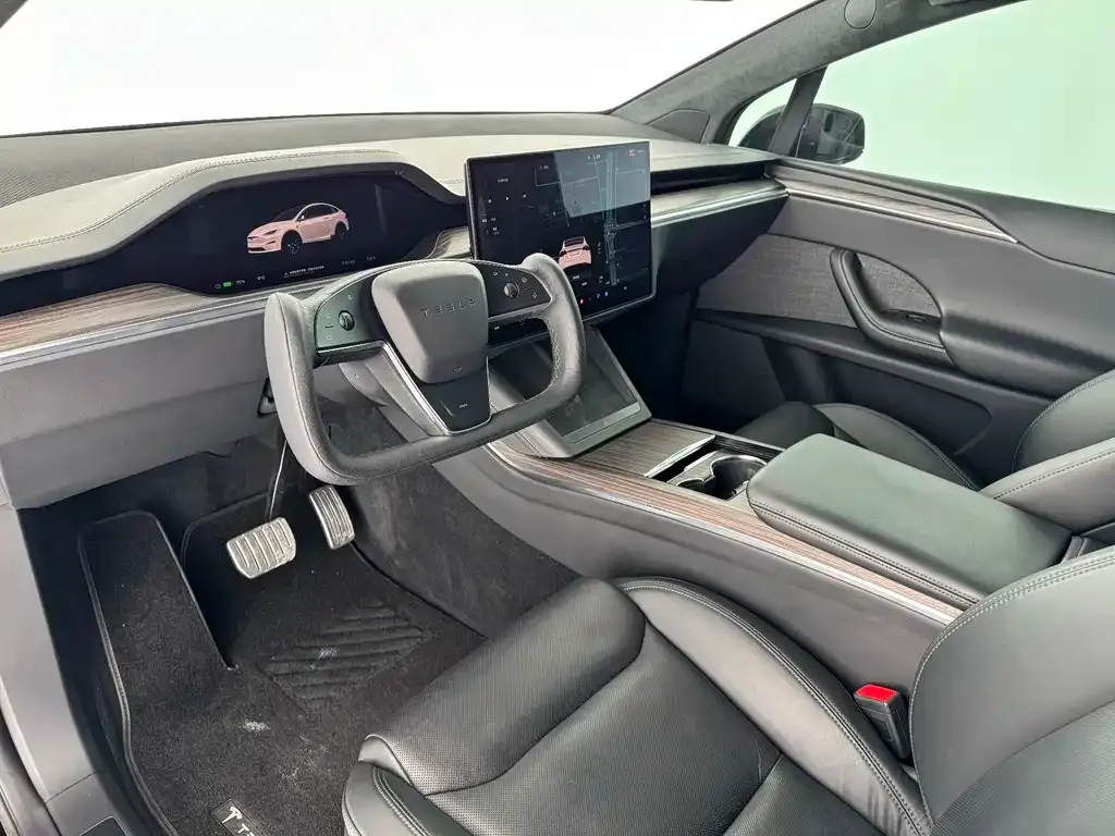 Tesla Model X — фото 9