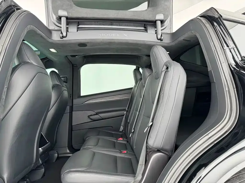 Tesla Model X — фото 7