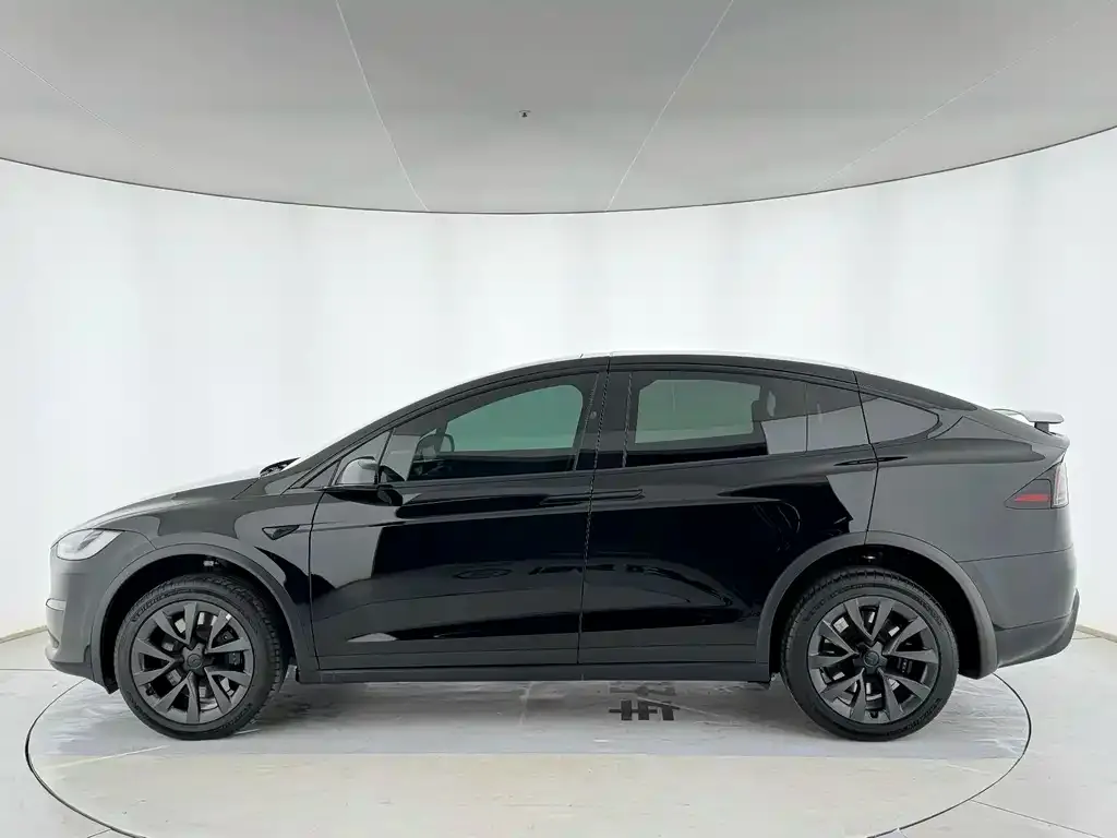 Tesla Model X — фото 2