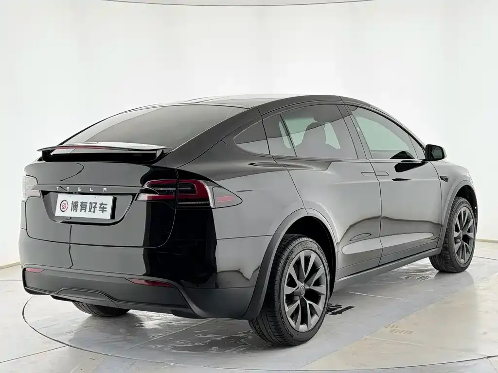 Tesla Model X — фото 6