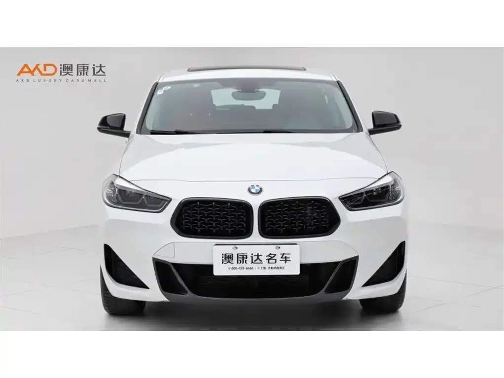 BMW X2 2024 из CN, фото 10