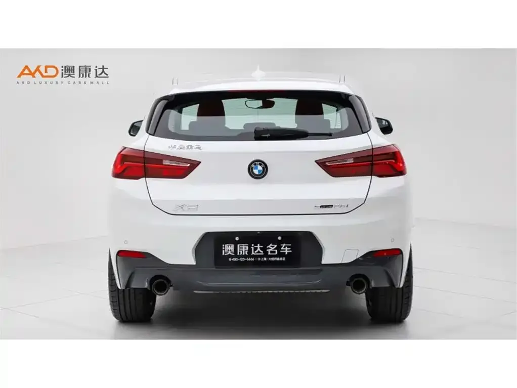 BMW X2 2024 из CN, фото 8